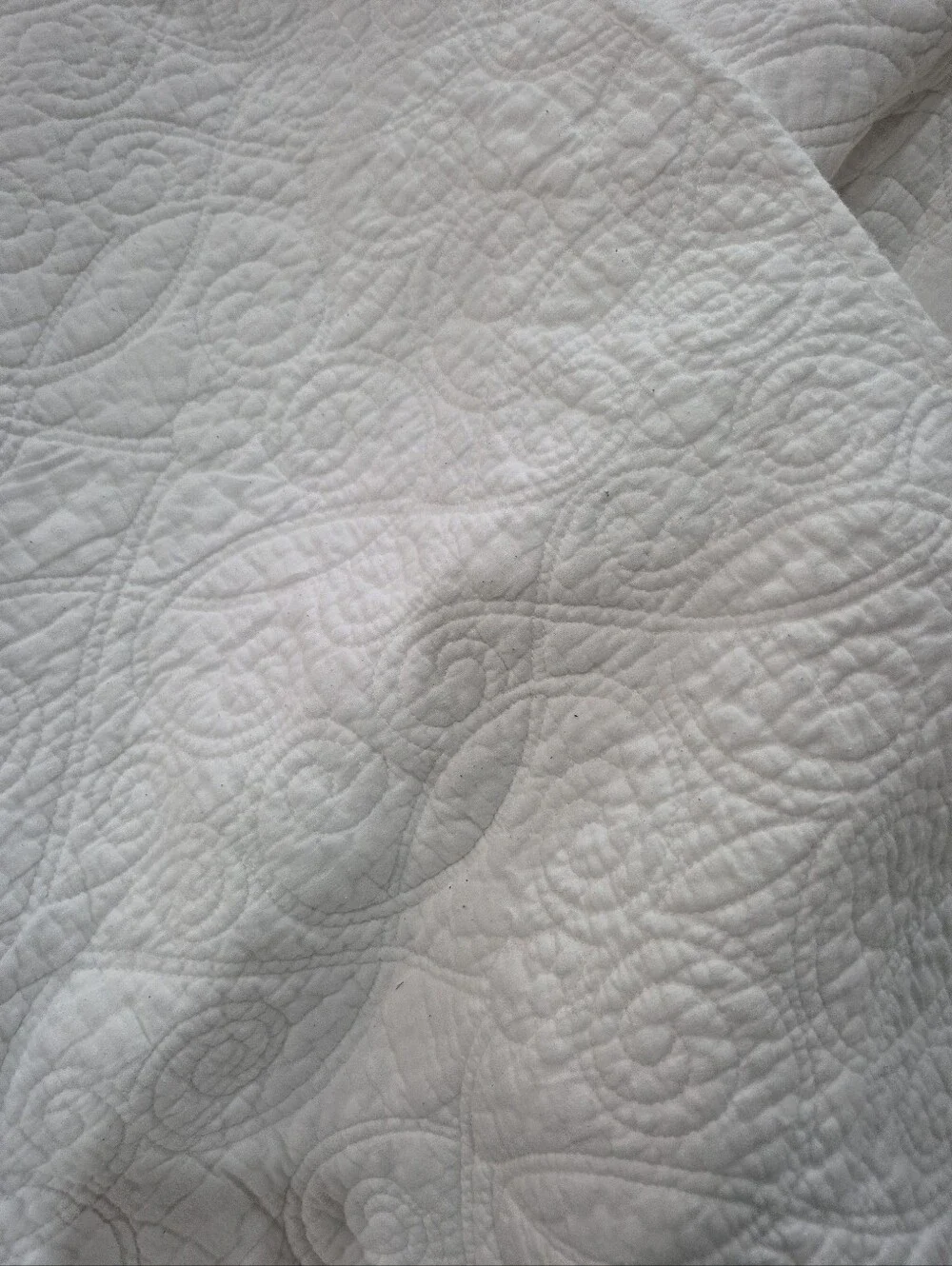 Laura Ashley Full Queen Cotton Felicity Quilt With Two Shams Farmhouse Decor